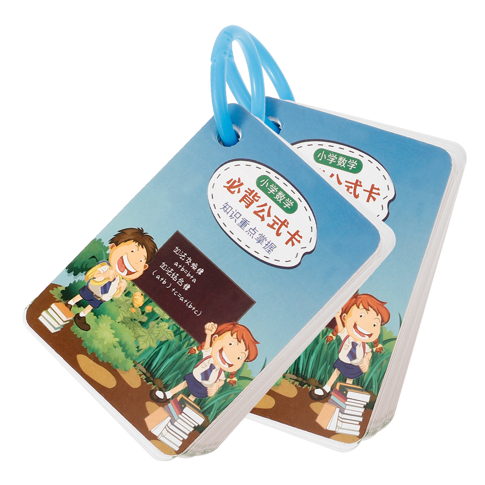 2Sets Math Formula Flash Cards - đánh giá và giá Educational Flash Card