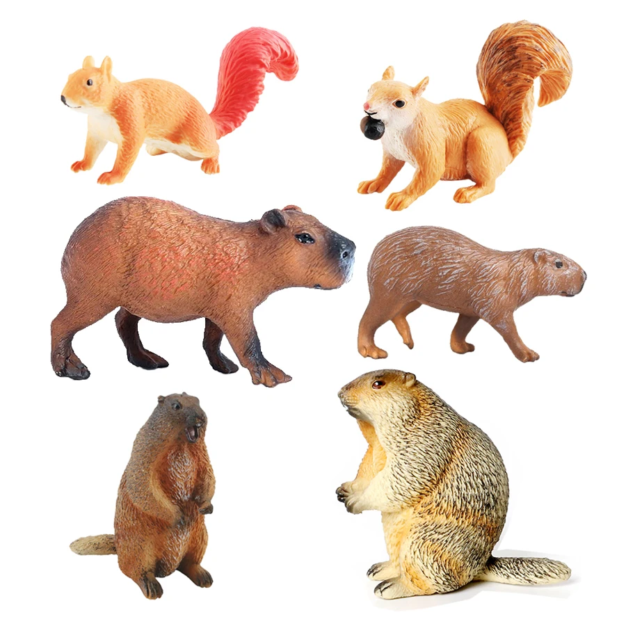 Capibara Capybaras Squirrel Ma - đánh giá và giá Kids Toys Reviews