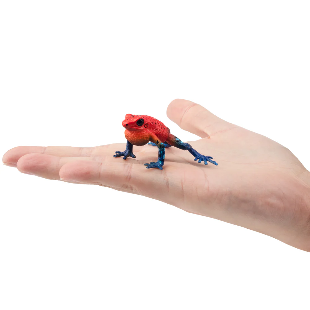 Toymany Simulation Strawberry  - đánh giá và giá Kids Toys Variety
