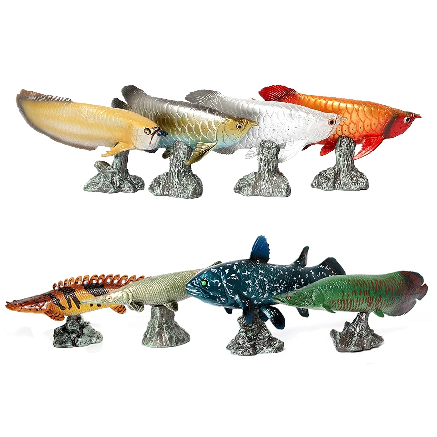 Arowana Pirarucu Coelacanth Bi - đánh giá và giá Kids Toys Reviews