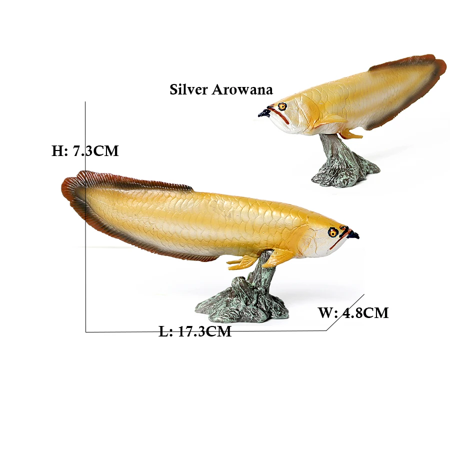 Arowana Pirarucu Coelacanth Bi - đánh giá và giá Kids Toys Reviews