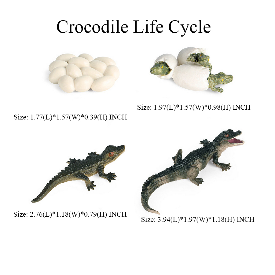 Toy of crocodile Figure Toys A - đánh giá và giá Kids Toys Reviews